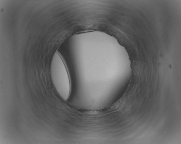 X0000071820085200606301021