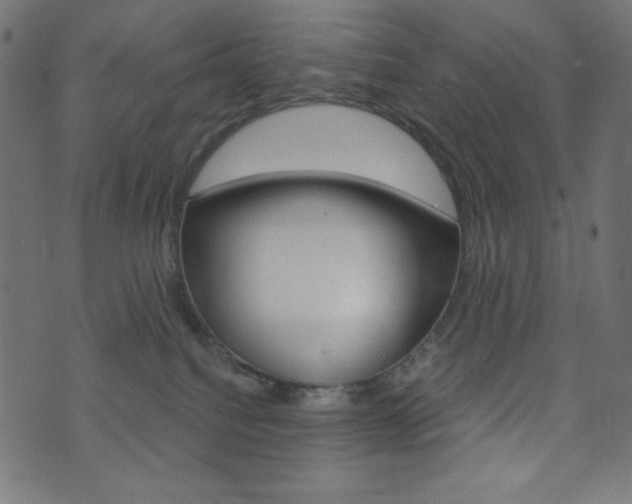 X0000071820088200606301021