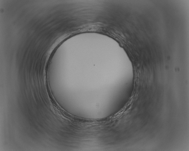 X0000071820100200606301020