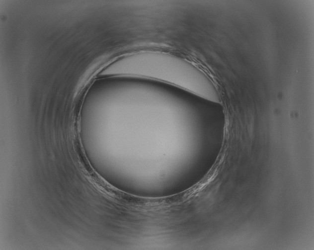 X0000071820101200606301020