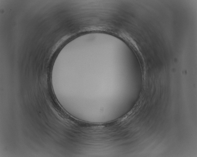 X0000071820108200606301020