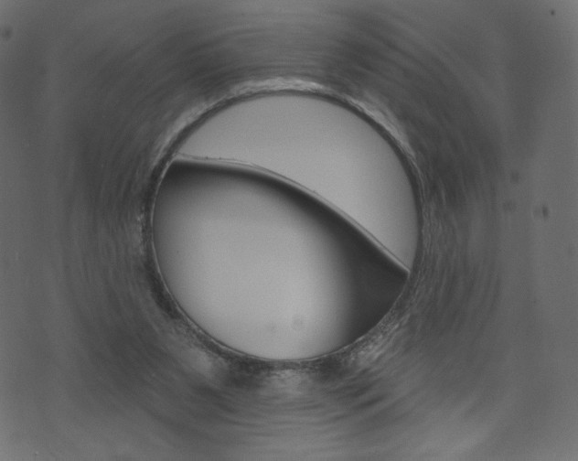 X0000071820111200606301020