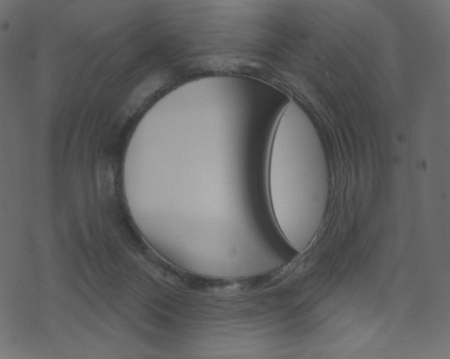 X0000071820120200606301020
