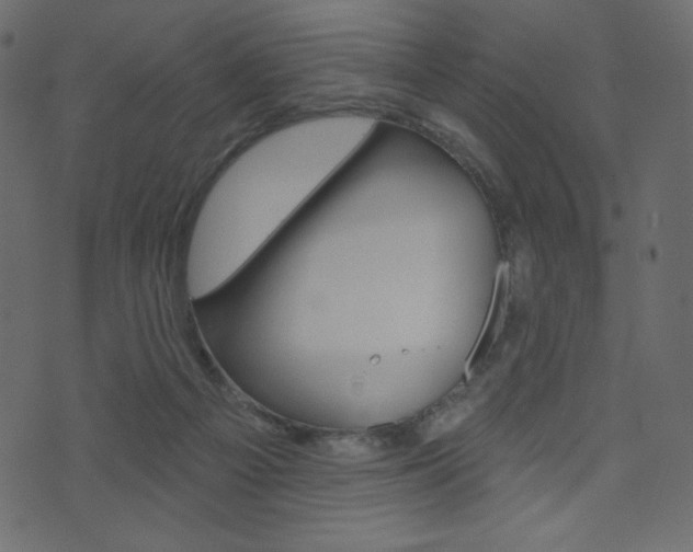 X0000071820121200606301020