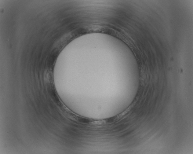 X0000071820126200606301020