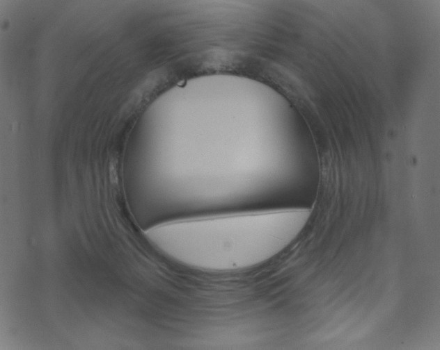 X0000071820127200606301020