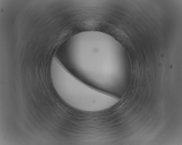 X0000071820131200606301020