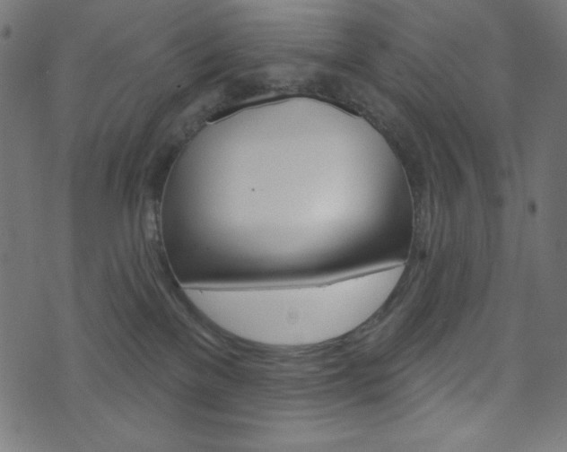 X0000071820137200606301020