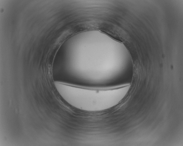 X0000071820141200606301020