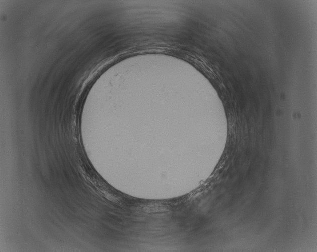 X0000071820146200606301019