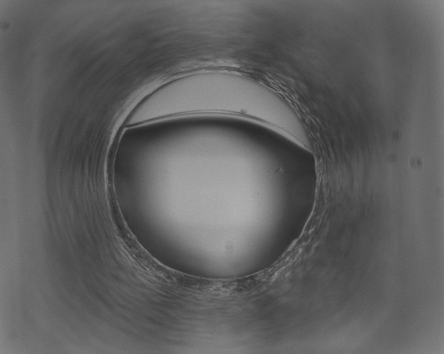 X0000071820148200606301019