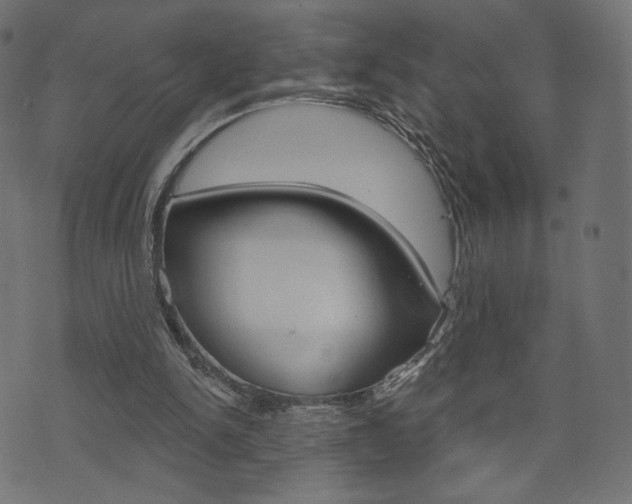 X0000071820150200606301019