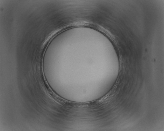 X0000071820155200606301019