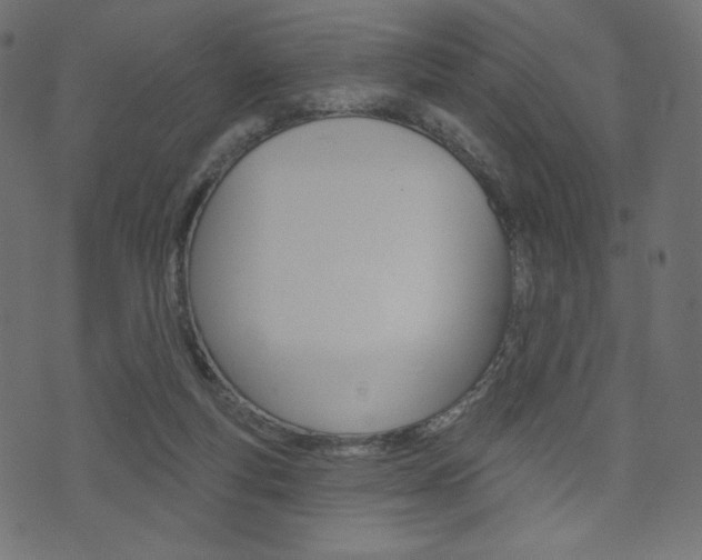 X0000071820163200606301019