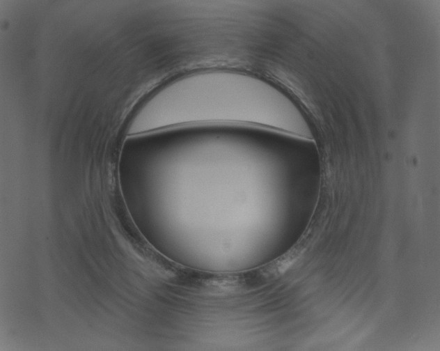 X0000071820164200606301019