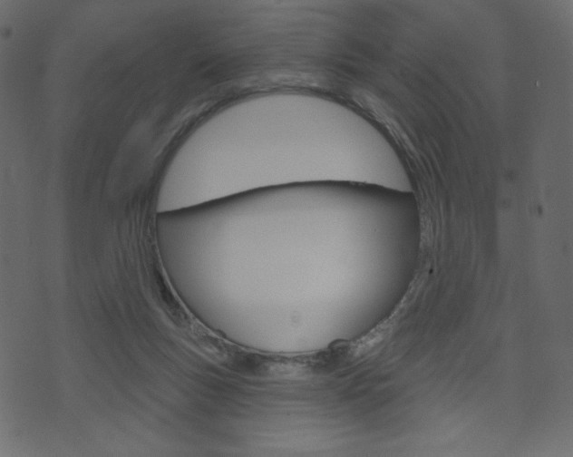 X0000071820167200606301019