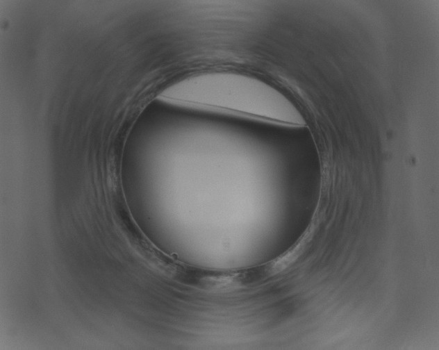 X0000071820170200606301019
