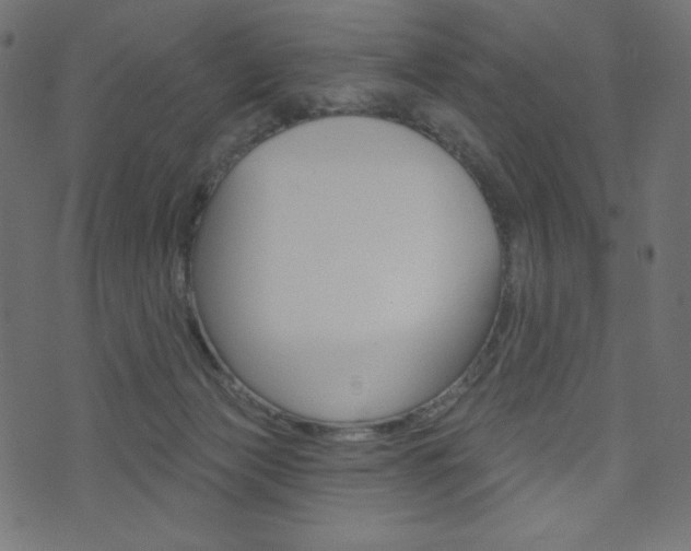 X0000071820173200606301019