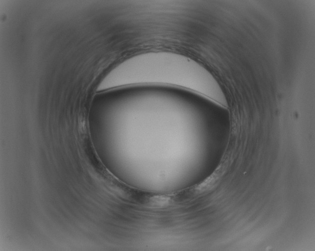 X0000071820176200606301019