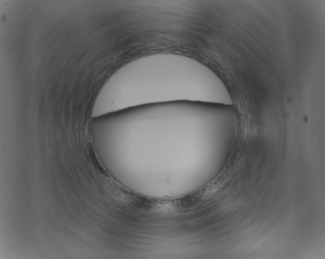 X0000071820177200606301019
