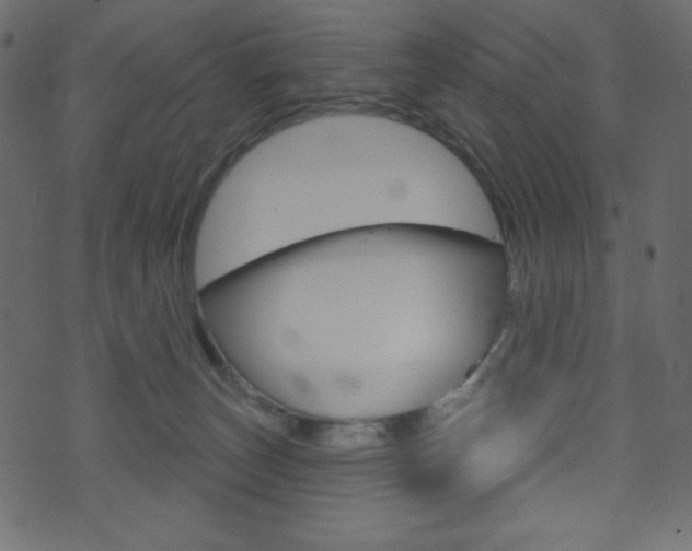 X0000071820179200606301019