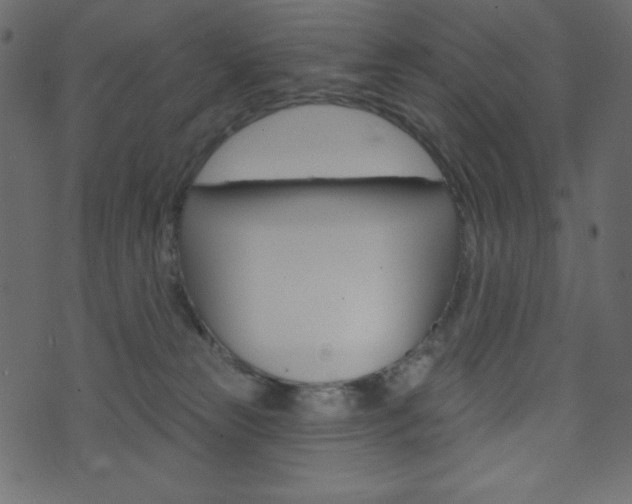 X0000071820181200606301019
