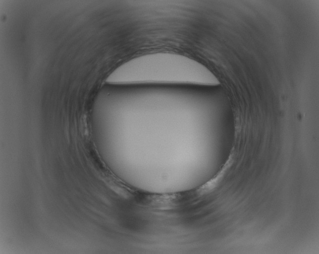 X0000071820182200606301019
