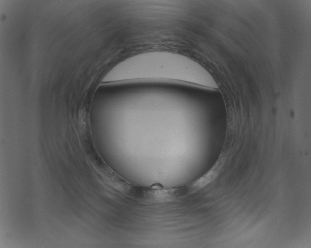 X0000071820184200606301020