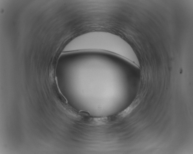 X0000071820188200606301020