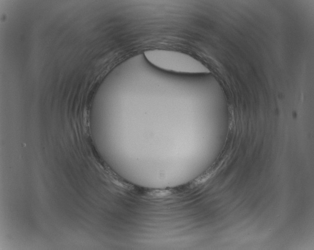 X0000071820189200606301020