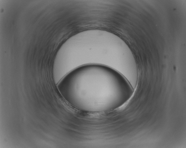 X0000071820190200606301020