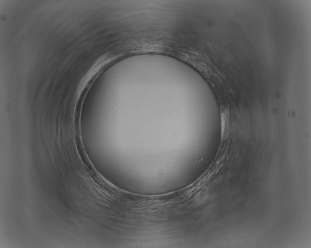 X0000071820195200606301019