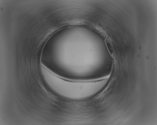 X0000071820201200606301019