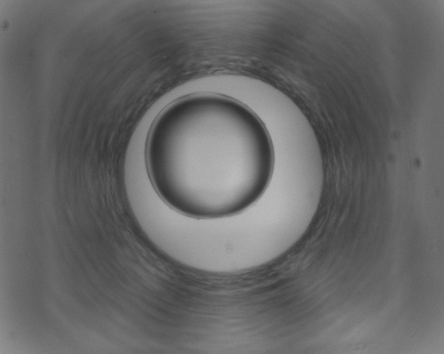 X0000071820225200606301018