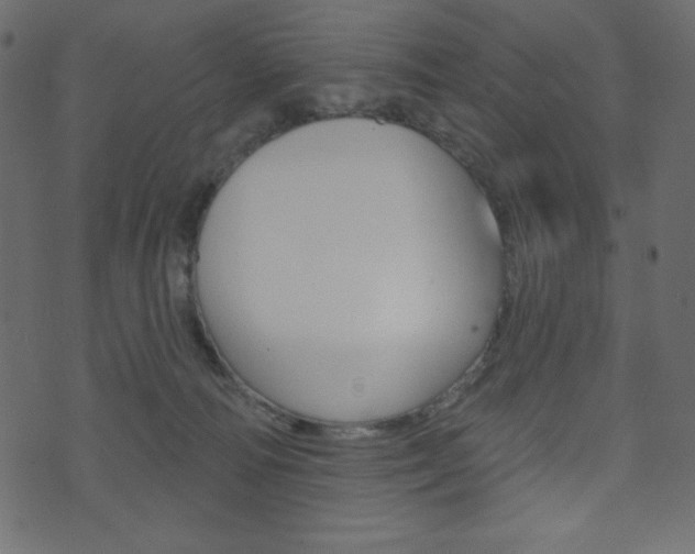 X0000071820226200606301018