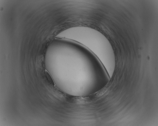 X0000071820229200606301018