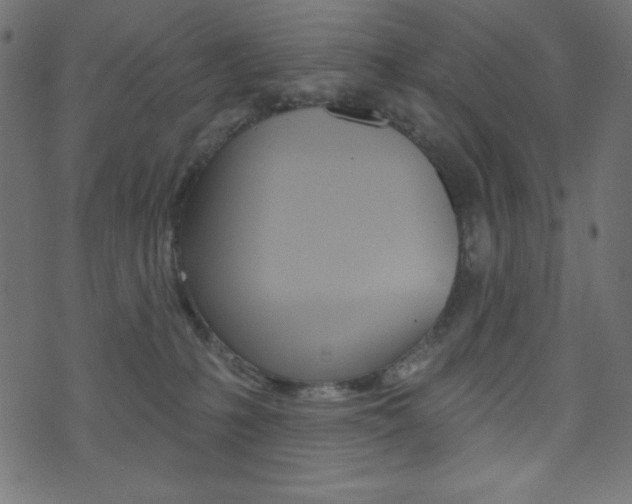 X0000071820231200606301018