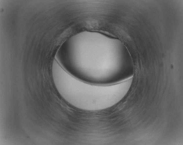 X0000071820233200606301018