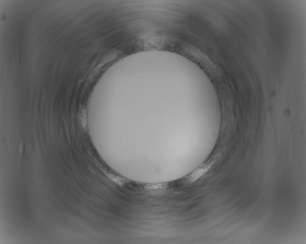 X0000071820240200606301018