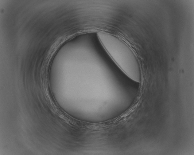 X0000071820241200606301017