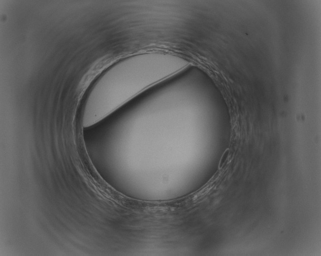 X0000071820242200606301017