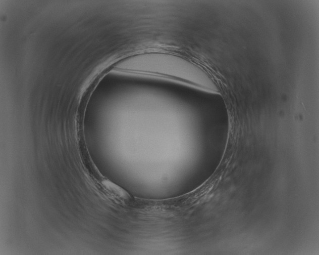 X0000071820244200606301017