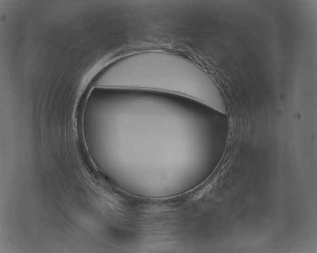 X0000071820246200606301017