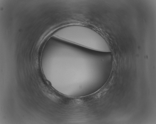X0000071820247200606301017