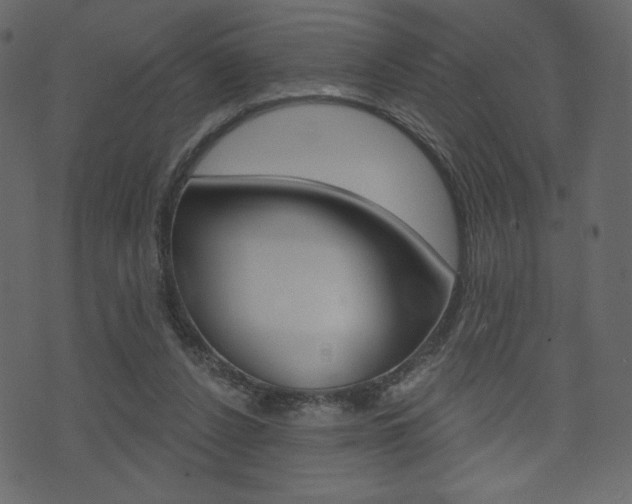 X0000071820256200606301018
