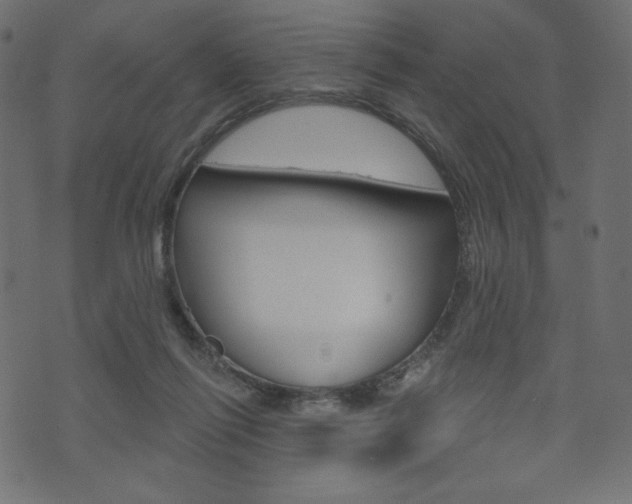 X0000071820262200606301018