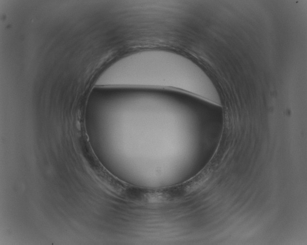 X0000071820264200606301018