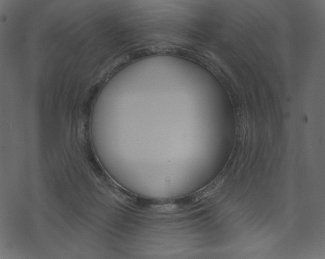 X0000071820266200606301018
