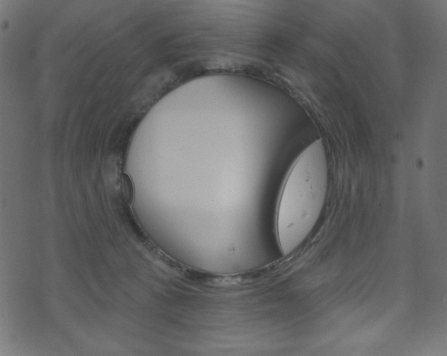 X0000071820273200606301018