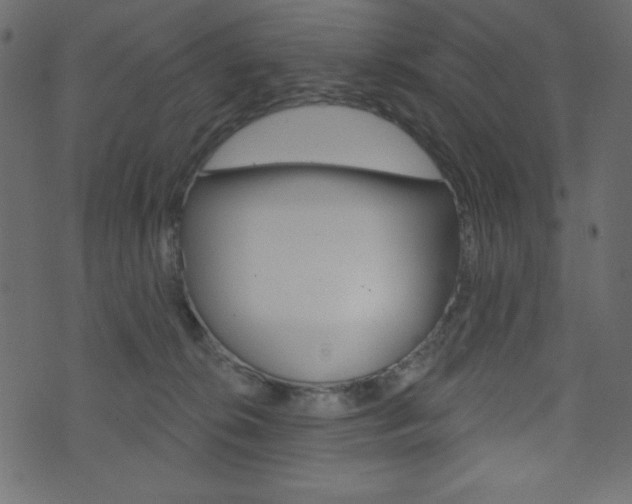 X0000071820276200606301018